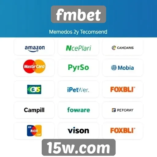 Guia completo sobre pagamentos no fmbet